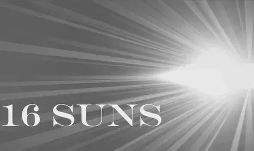 16 Swans Suns