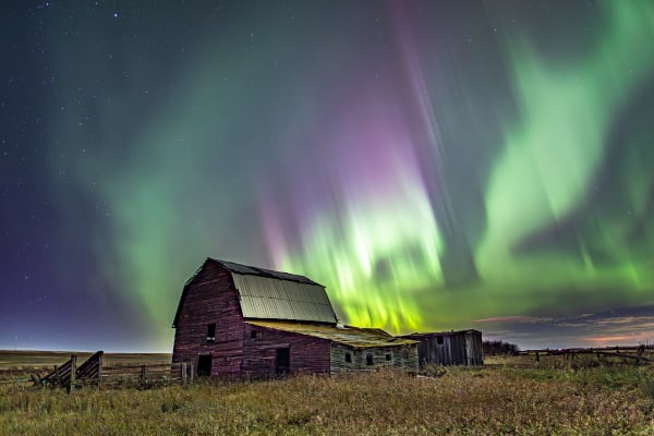 Aurora Collection
