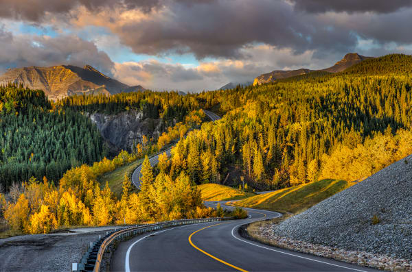 Landscape Collection