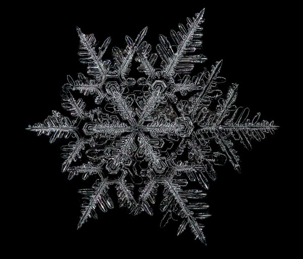 Macro Snowflake Collection