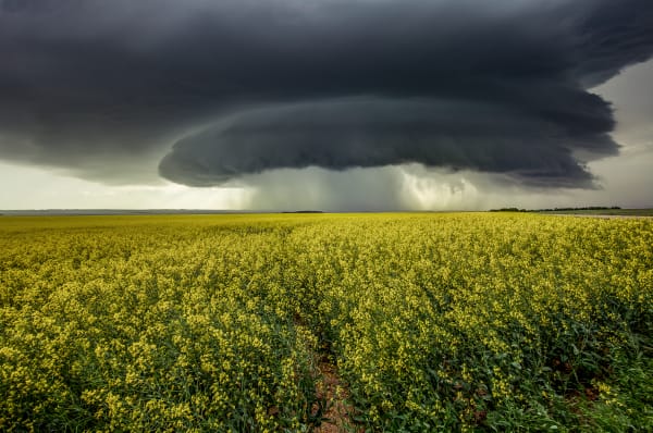 Thunderstorms Collection