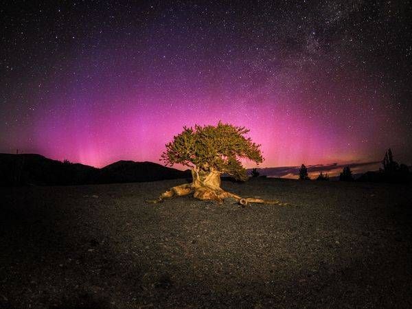 Night Skies & Ancient Light