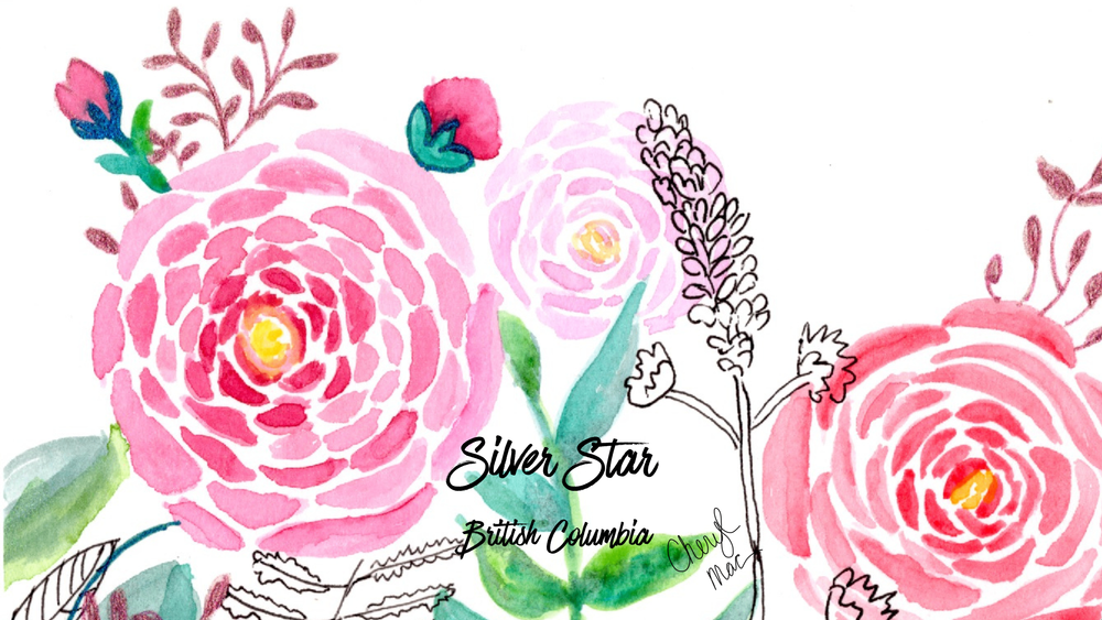 Roses With Pen Silver Star Art | Peak To Peak Marketing
