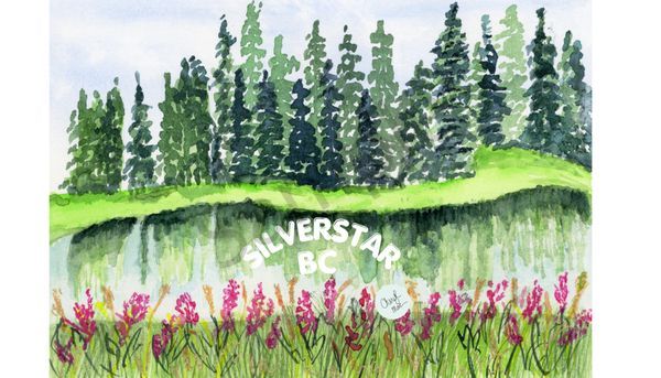 Brewers Pond SilverStar Summer