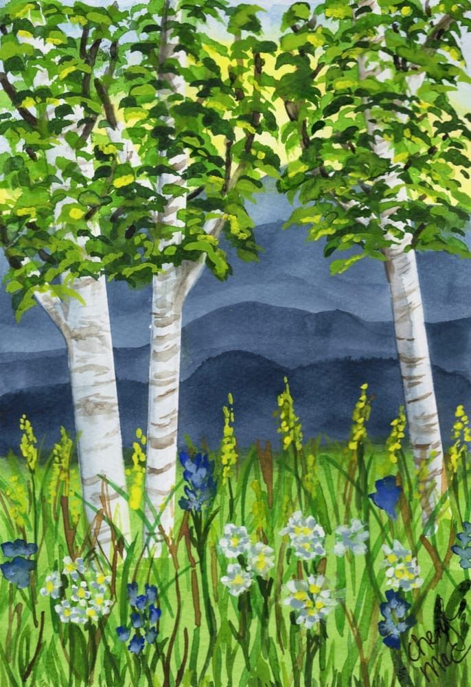 Summer in the Cotton Woods prints 