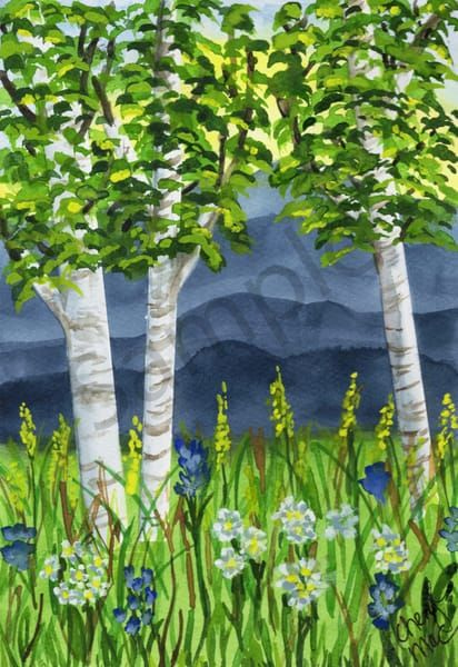 Summer in the Cotton Woods prints 