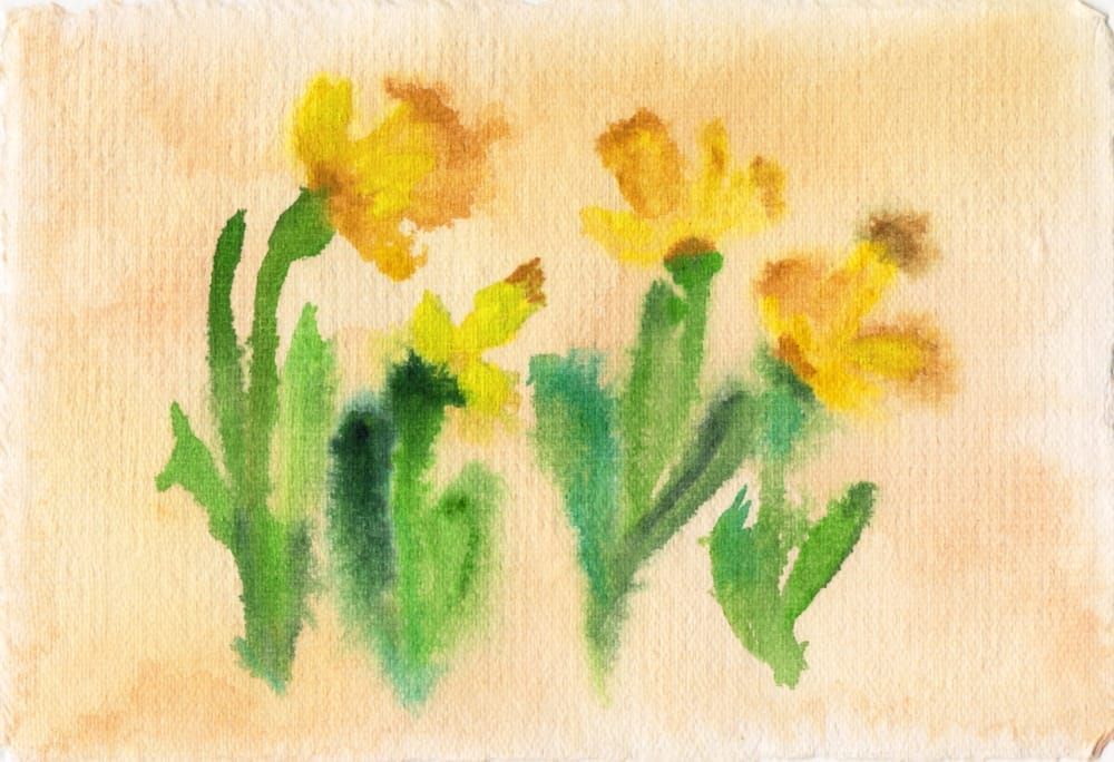 daffodil watercolour merchandise 