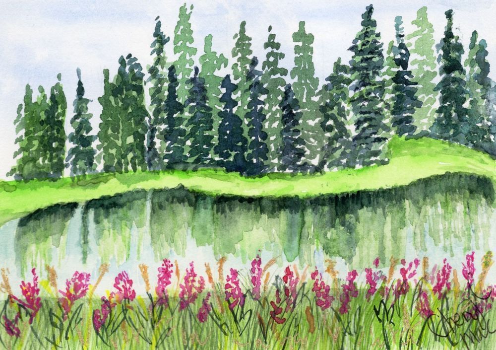 Summer at Brewers Pond