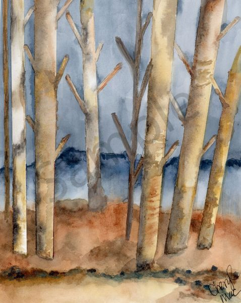 Winter birch trees