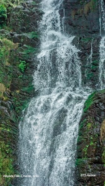 Wayside Waterfalls  2, Kerala