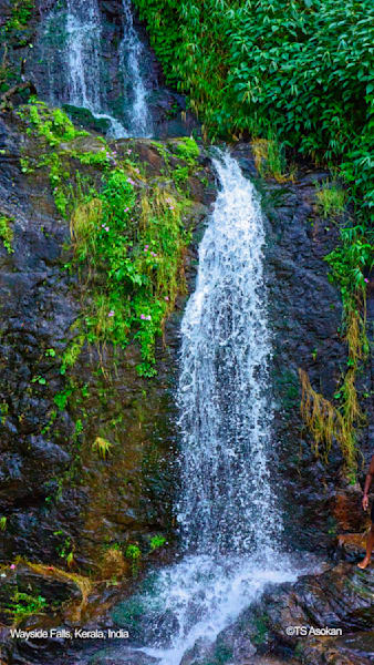 Wayside Waterfalls 1, Kerala