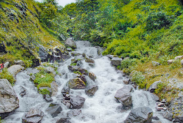Whispers of a Himalayan Stream