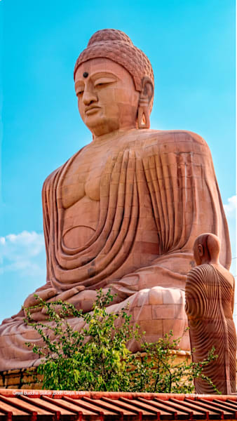 Great Buddha Statue, Bodh Gaya — Morning Light (India)