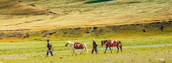 Drokpa Journey — Nomads of the Tibetan Highlands