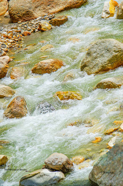 Himalayan Stream — Ice-Melt in Motion