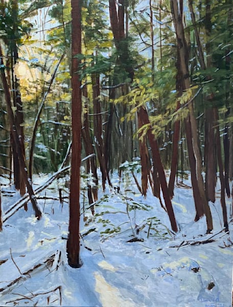 Nature   Trees
