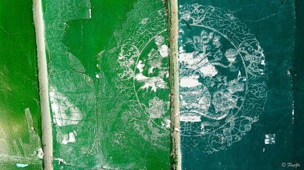 Green Wall Photography Art | Flup Ja