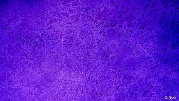 Violetglasse Photography Art | Flup