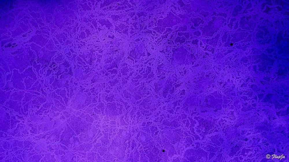 Violetglasse Photography Art | Flup