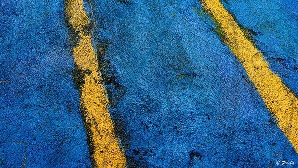 Yellowgroundlines Photography Art | Flup