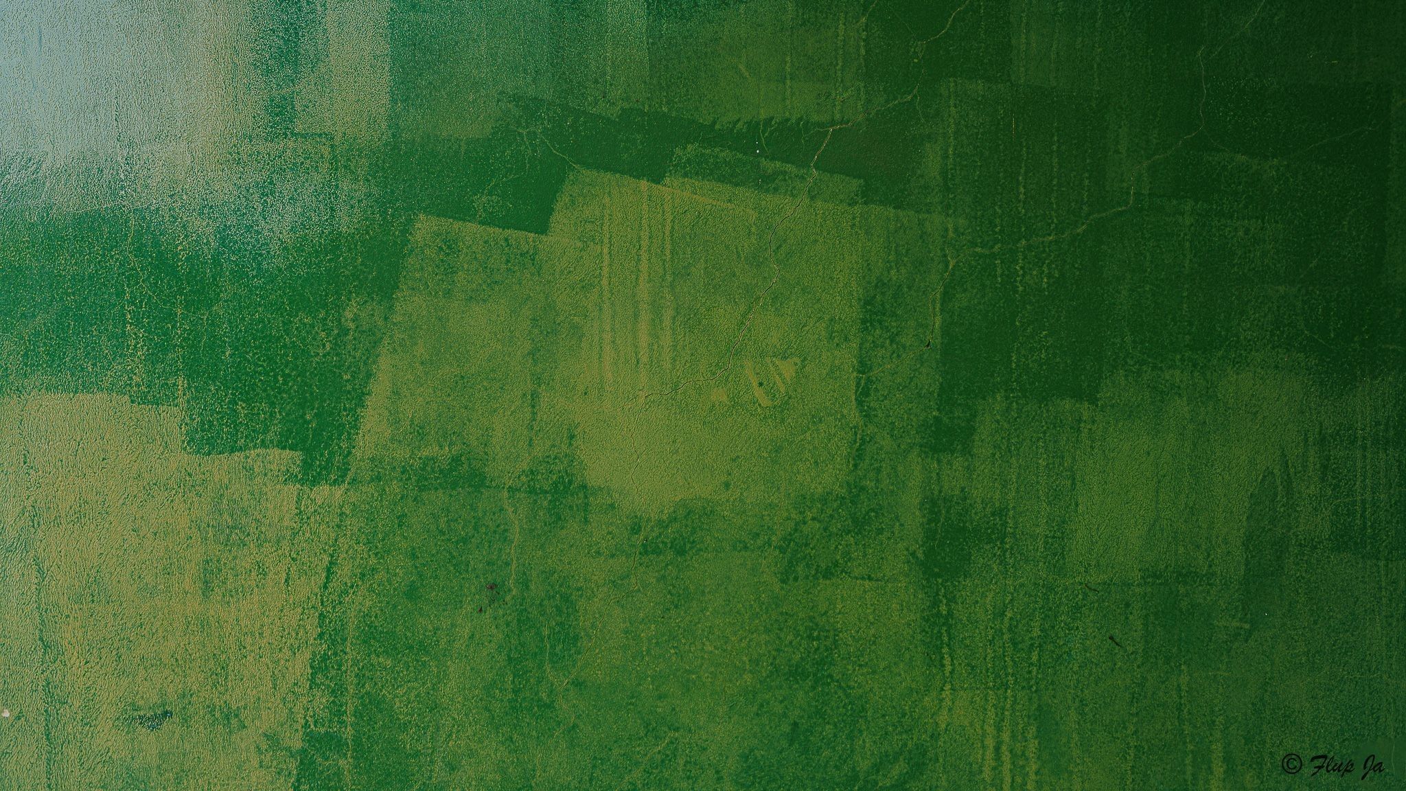 
        <div class='title'>
          greenwallx
        </div>
       