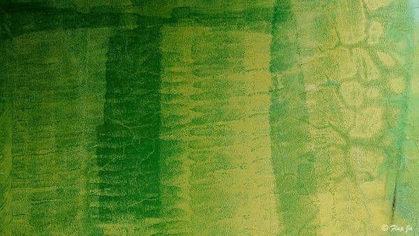 Greenwall4 Photography Art | Flup