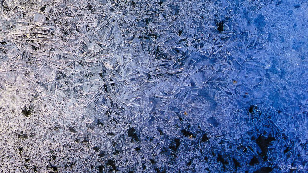 Abstract Landscape Microscopic 