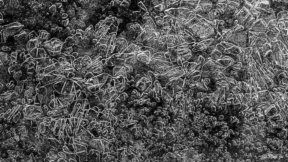 Ice Water In The Forest Photography Art | Flup