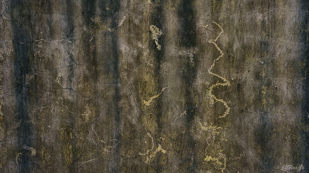 4 Back Temple' S Wall Photography Art | Flup Ja