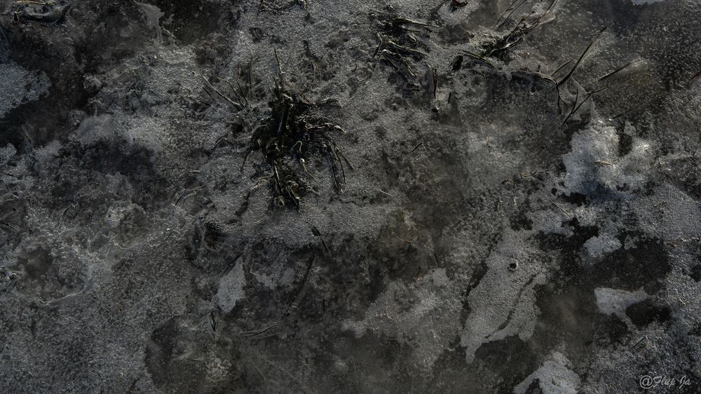 4 Iced Landscape.Jpg Photography Art | Flup Ja