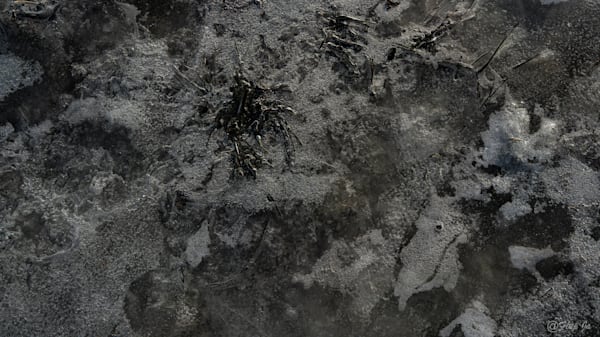 4 Iced Landscape.Jpg Photography Art | Flup Ja