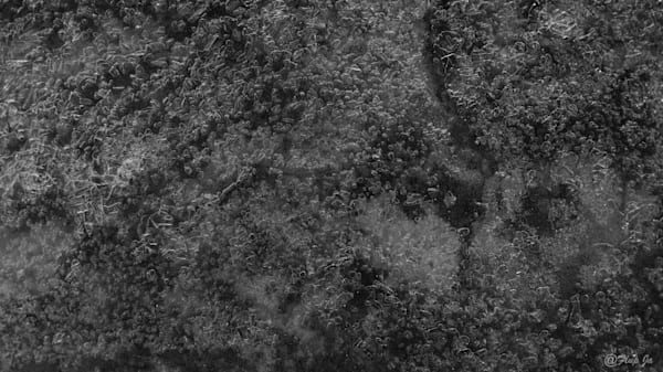 2 Iced Landscapes Photography Art | Flup Ja
