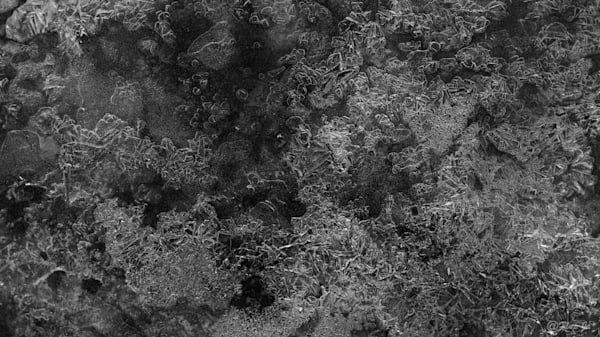 3 Iced Landscape Photography Art | Flup Ja