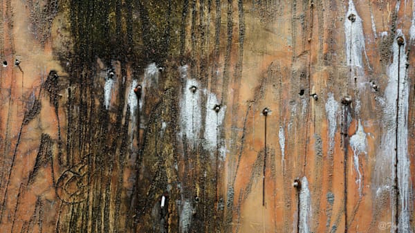 Zoo's Wall Photography Art | Flup Ja