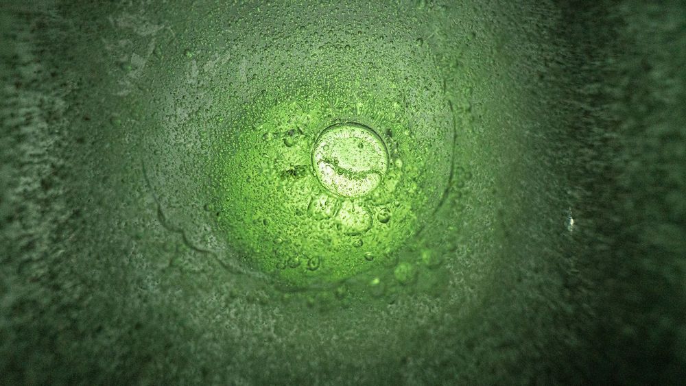 Green Iced Water Photography Art | Flup Ja