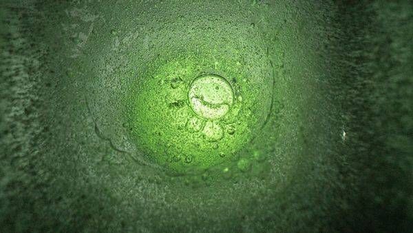 Green Iced Water Photography Art | Flup Ja