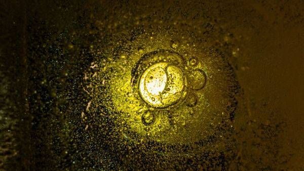 Yellow Iced Water Photography Art | Flup Ja