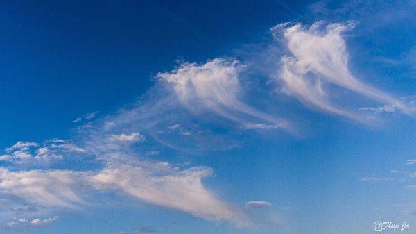 Dancing Clouds | Flup Ja