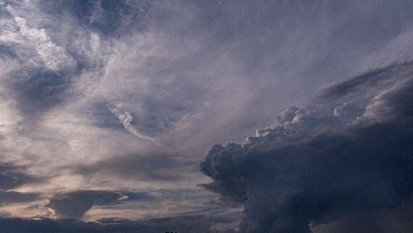 Stormsfront Dynamic | Flup Ja