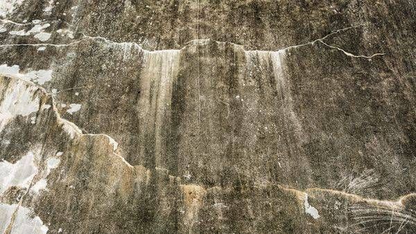 Wall's Painting | Flup Ja