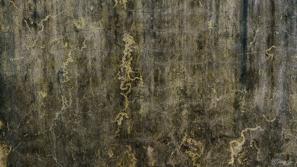 Back Temple' S Wall Photography Art | Flup Ja