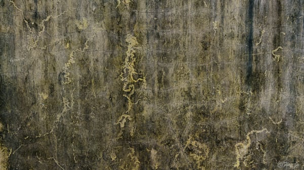 Back Temple' S Wall Photography Art | Flup Ja