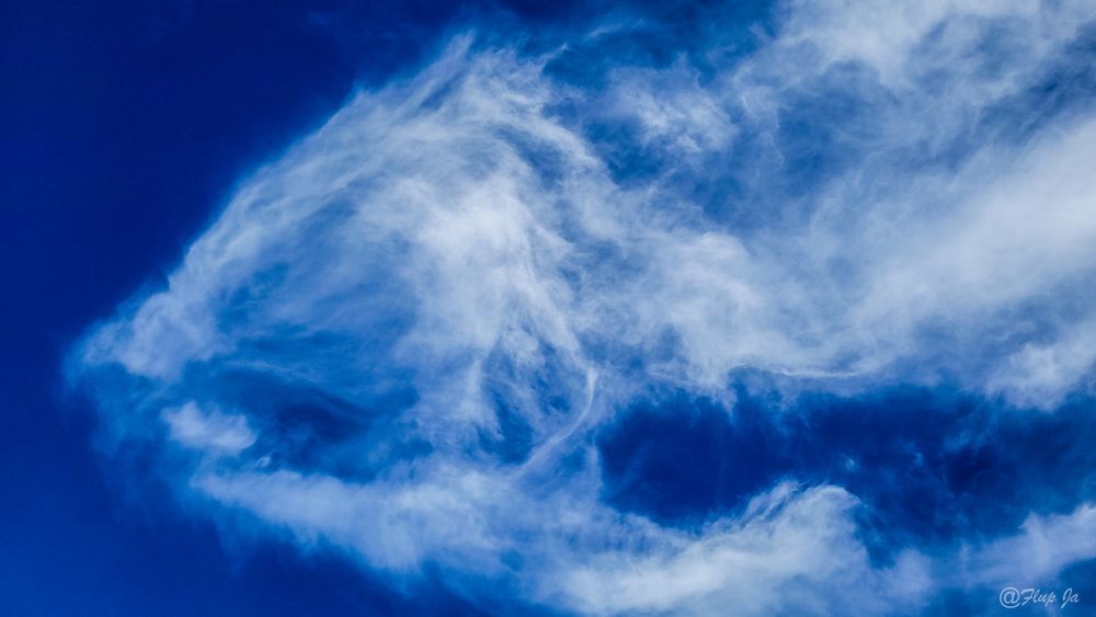 Big Face Cloud Photography Art | Flup Ja