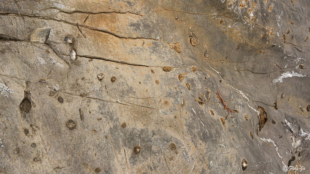 Abstract Rock's Landscape Photography Art | Flup Ja