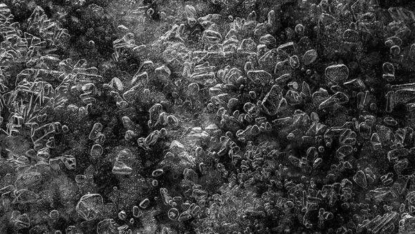 Iced Water Photography Art | Flup Ja
