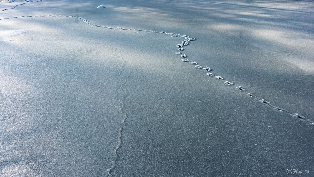 Iced Water Landscape Photography Art | Flup Ja