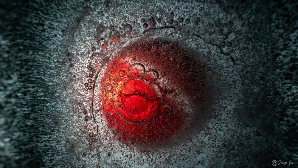 Red Iced Light Photography Art | Flup Ja