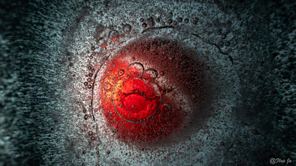 Red Iced Light Photography Art | Flup Ja