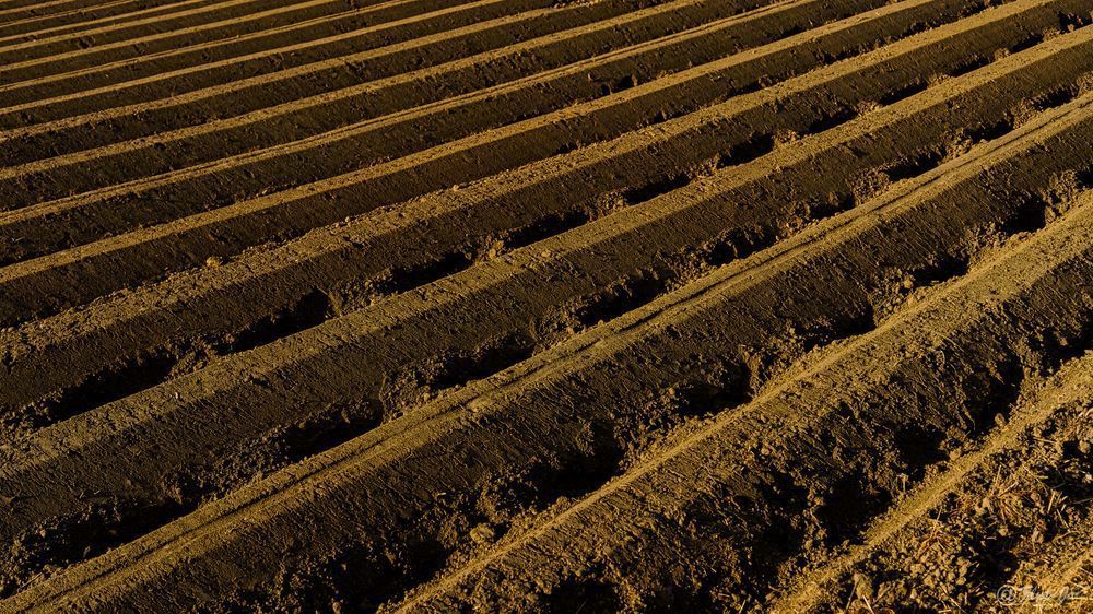 Spring Earthfields.Jpg Photography Art | Flup Ja