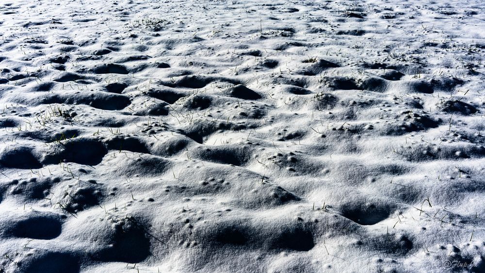 Snow Landscape  2 Photography Art | Flup Ja